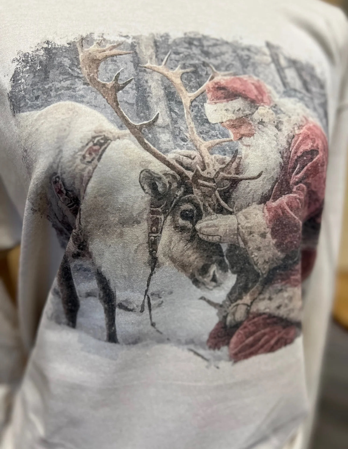PREORDER: Santa & Reindeer Tee or Long Sleeve